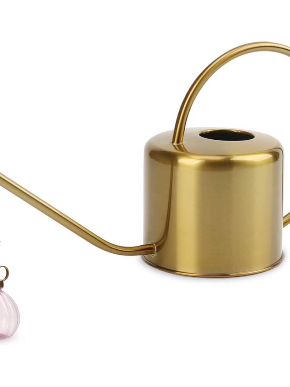 Watering Can Indoor Outdoor Stainless Steel Watering Cans for House Plants Long